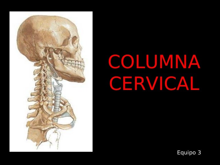 Para que sirve el cervix